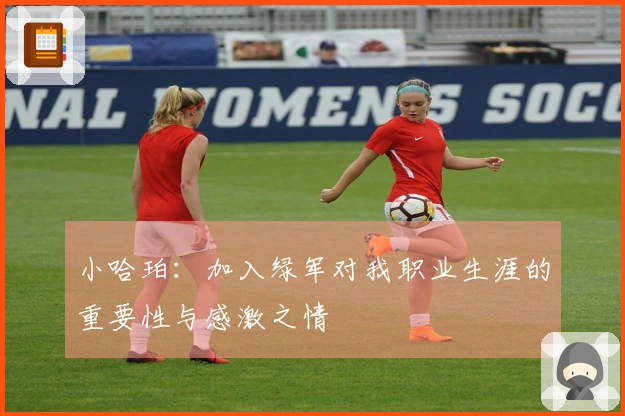 小哈珀：加入绿军对我职业生涯的重要性与感激之情