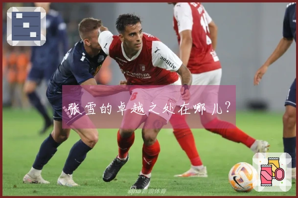 张雪的卓越之处在哪儿？