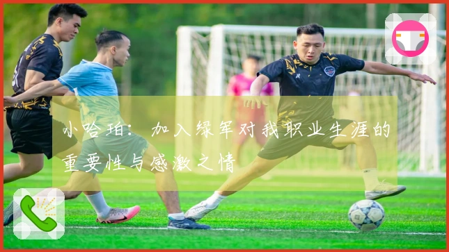 小哈珀：加入绿军对我职业生涯的重要性与感激之情