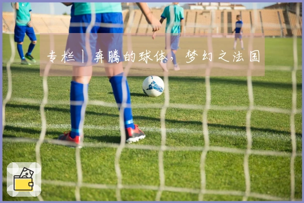 专栏丨奔腾的球体，梦幻之法国